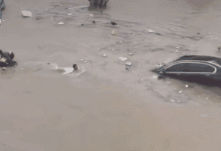 QQ圖片20220114172955.gif