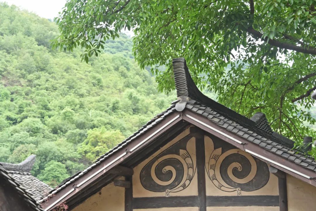 微信圖片_20220704113011.jpg