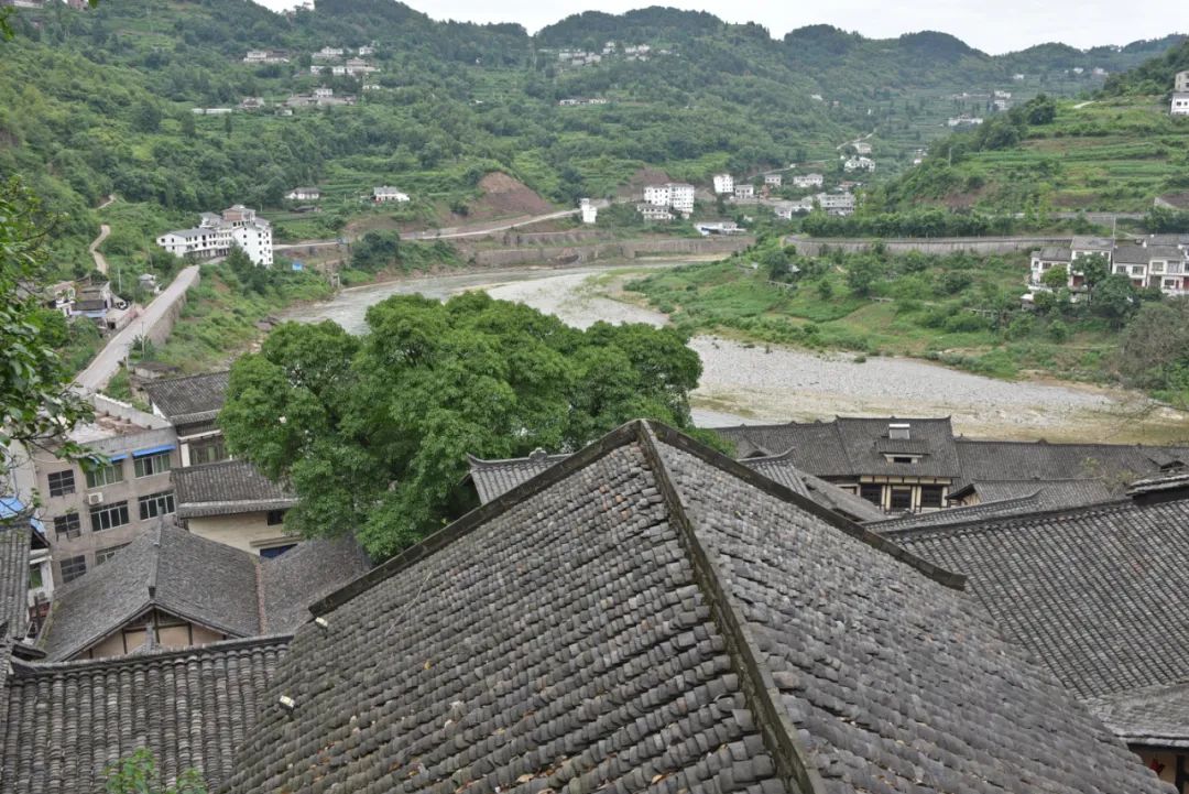 微信圖片_20220704113111.jpg